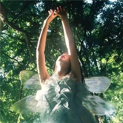 流行歌星：永不停歇